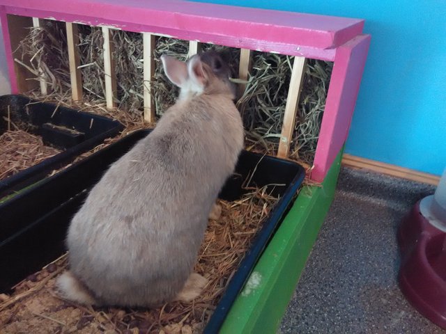 IMG_20160317_140451.jpg (1.68 MiB) Visto 25321 veces IMG_20160317_140451.jpg