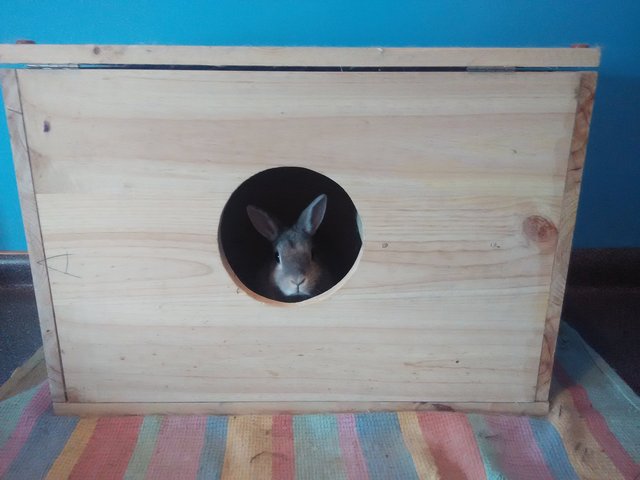 IMG_20160320_154130.jpg (1.25 MiB) Visto 25321 veces IMG_20160320_154130.jpg