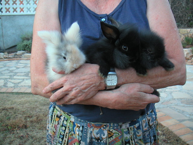 PICT0088.JPG