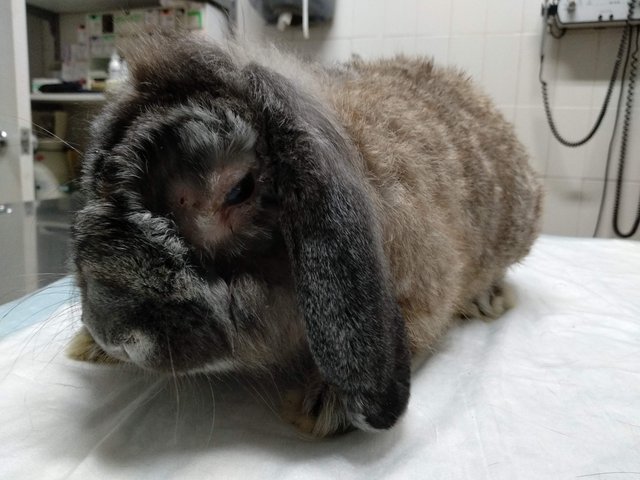 IMG_20180904_192123.jpg (512.58 KiB) Visto 23908 veces IMG_20180904_192123.jpg