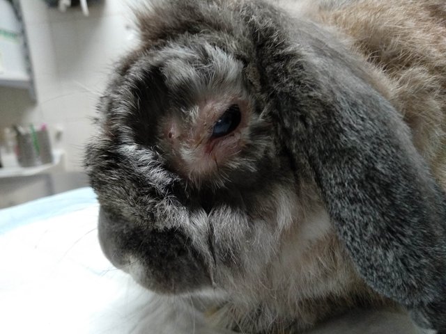 IMG_20180904_192104.jpg (679.89 KiB) Visto 23908 veces IMG_20180904_192104.jpg