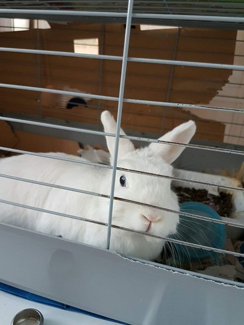 IMG-20190310-WA0004.jpg
