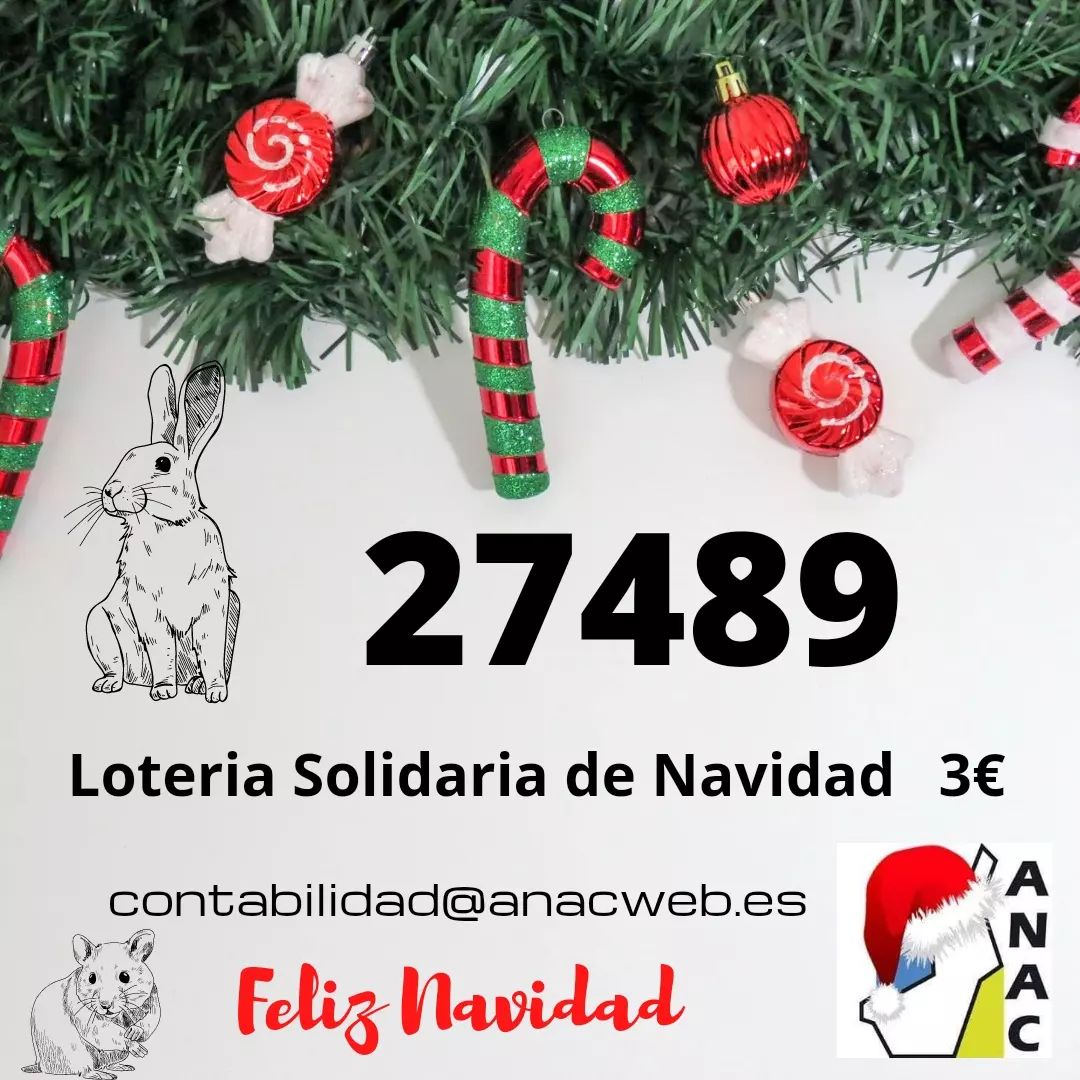 Loteria Navidad 2022