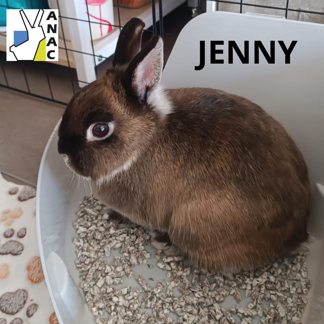 Jenny.jpg